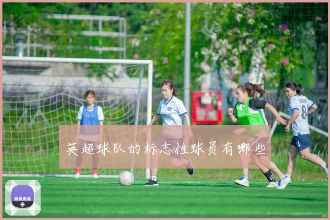 英超球队的标志性球员有哪些